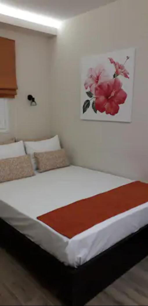 Lejlighed Domenica Apts I