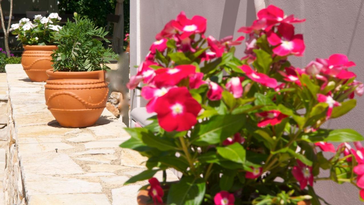 Lejlighed Domenica Apts I Laganas